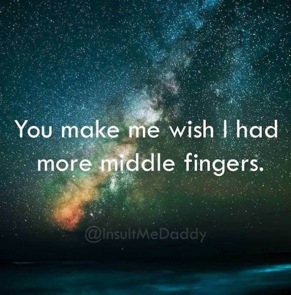 Insults To Win Just About Any Argument (18 pics)