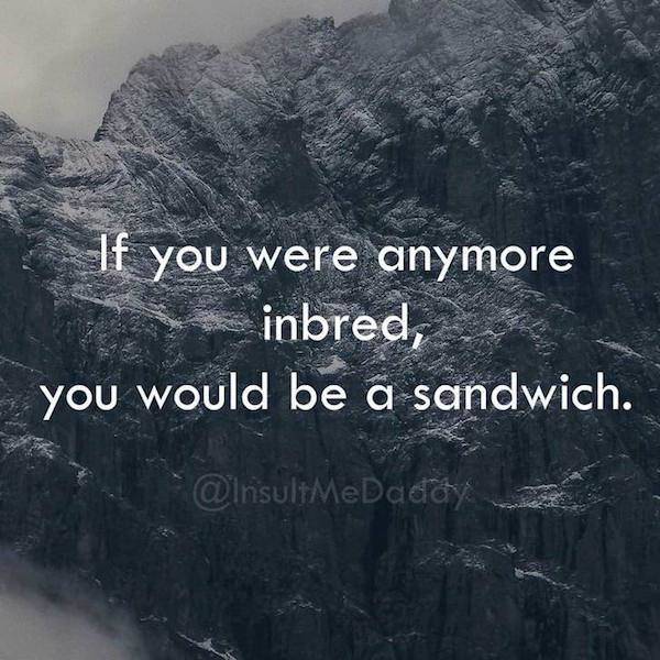 Insults To Win Just About Any Argument (18 pics)