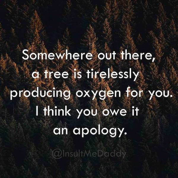 Insults To Win Just About Any Argument (18 pics)