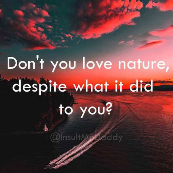 Insults To Win Just About Any Argument (18 pics)