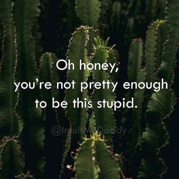 Insults To Win Just About Any Argument (18 pics)