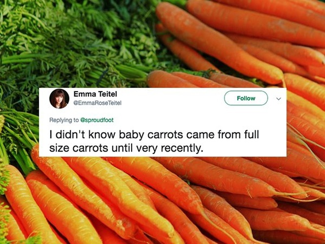 Dumb Epiphanies (19 pics)