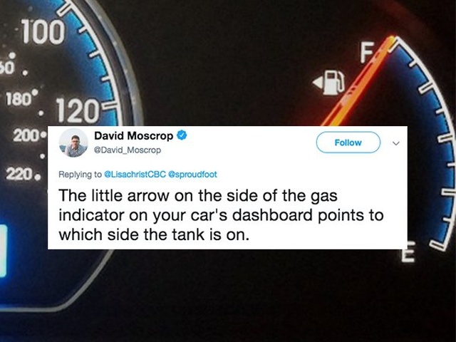 Dumb Epiphanies (19 pics)