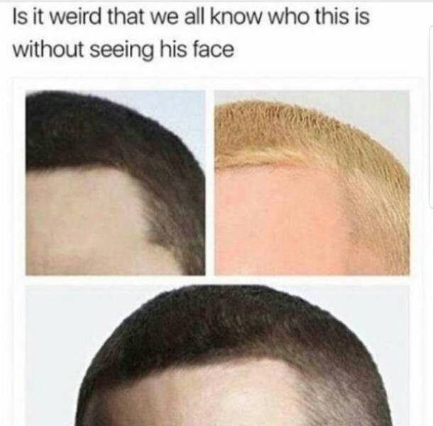 So True (46 pics)