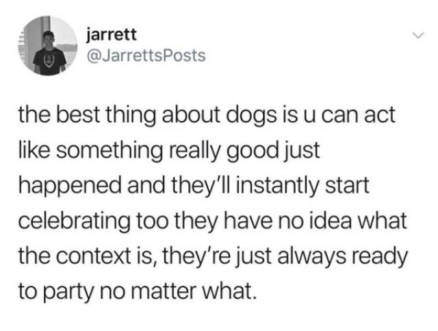 So True (46 pics)
