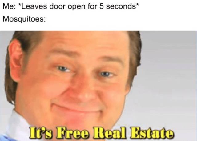 So True (46 pics)