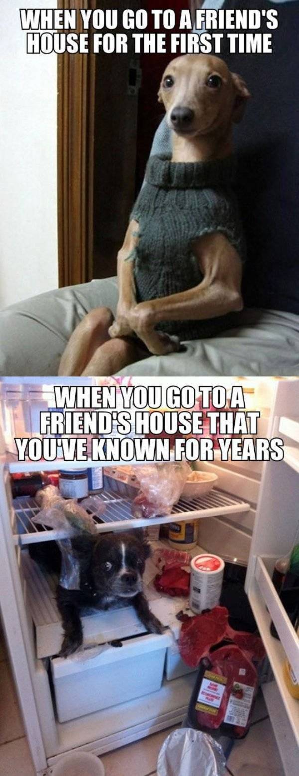 So True (46 pics)