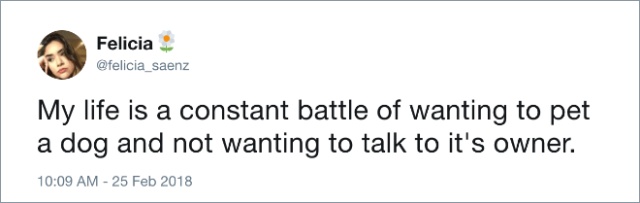 Funny Tweets About Dogs (20 pics)