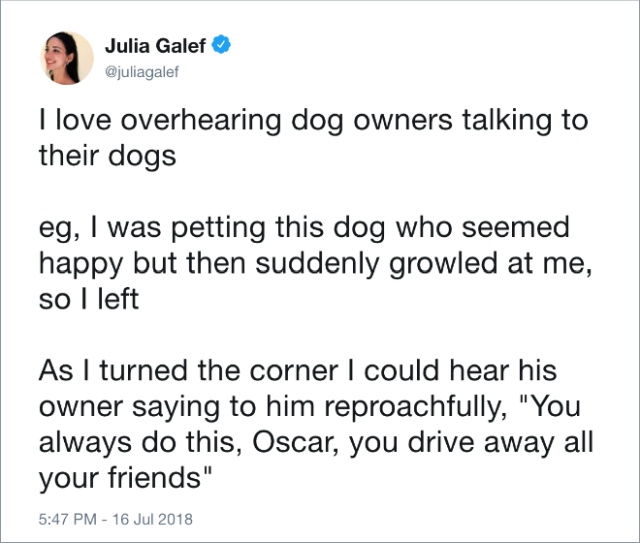 Funny Tweets About Dogs (20 pics)