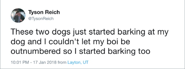 Funny Tweets About Dogs (20 pics)