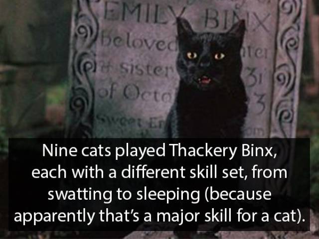 “Hocus Pocus” Facts (17 pics)