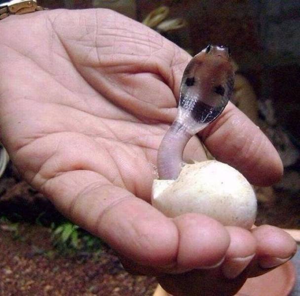 When A Picture Says More Than Just A Thousand Words (50 pics)