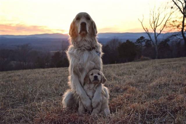When A Picture Says More Than Just A Thousand Words (50 pics)