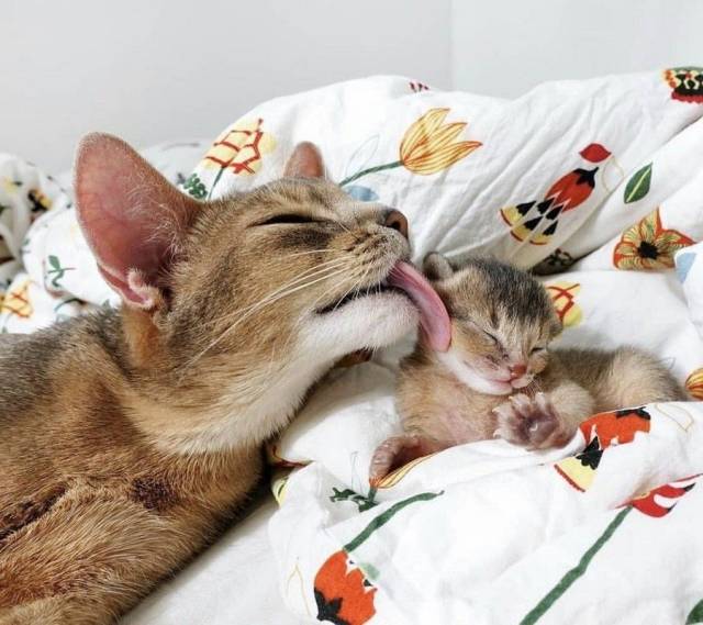 When A Picture Says More Than Just A Thousand Words (50 pics)