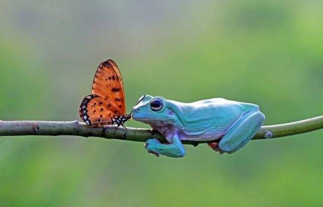 When A Picture Says More Than Just A Thousand Words (50 pics)