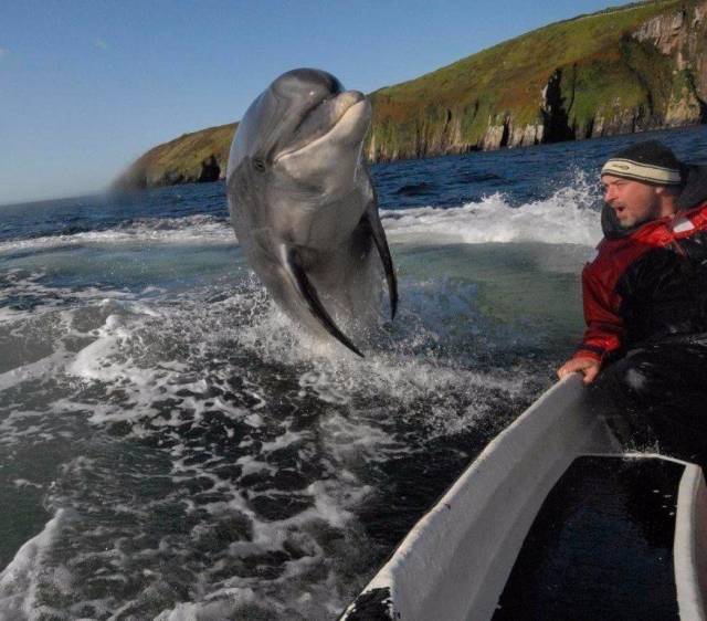 When A Picture Says More Than Just A Thousand Words (50 pics)