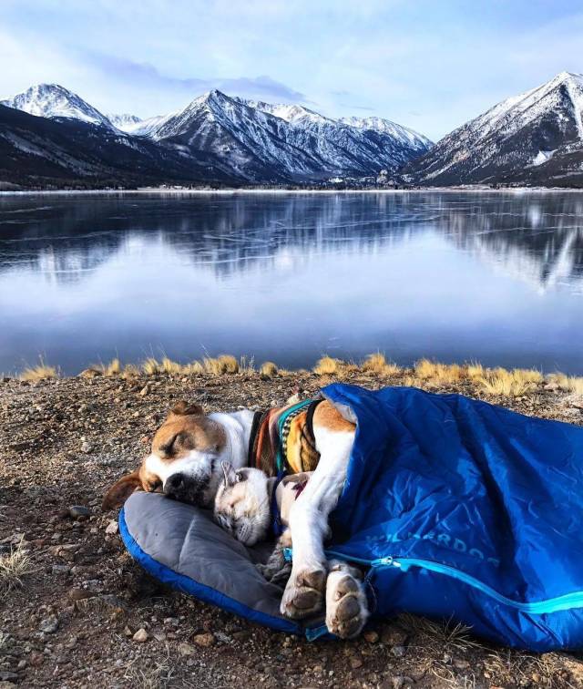When A Picture Says More Than Just A Thousand Words (50 pics)