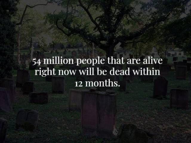 Scary Facts (20 pics)