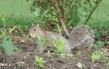 Acid Gifdump, October 23, 2018 (25 gifs)