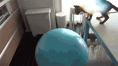 Acid Gifdump, October 23, 2018 (25 gifs)
