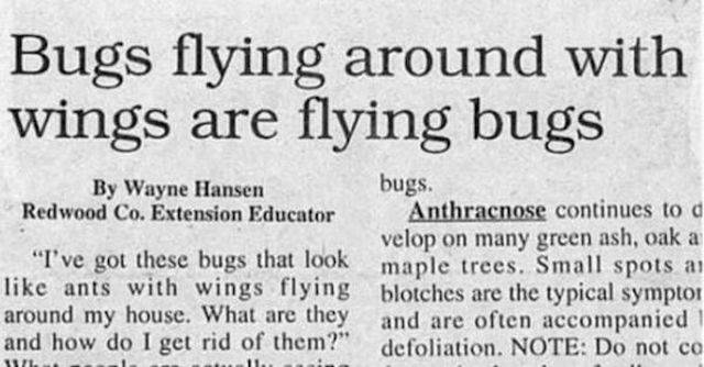 Strange Headlines (49 pics)