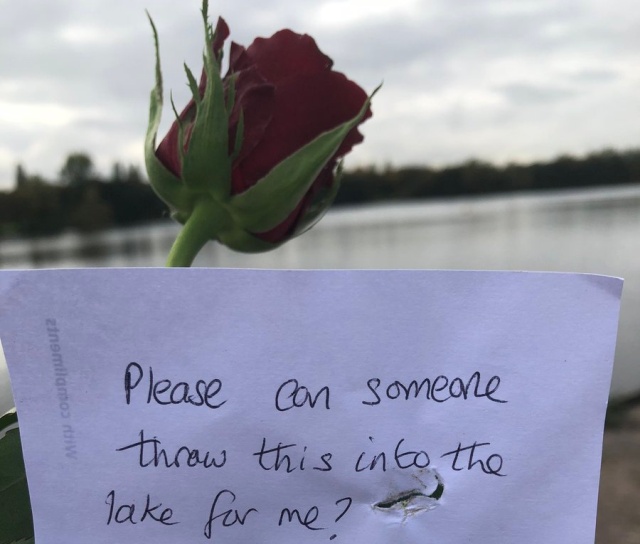 This Not Is Heartbreaking (3 pics)