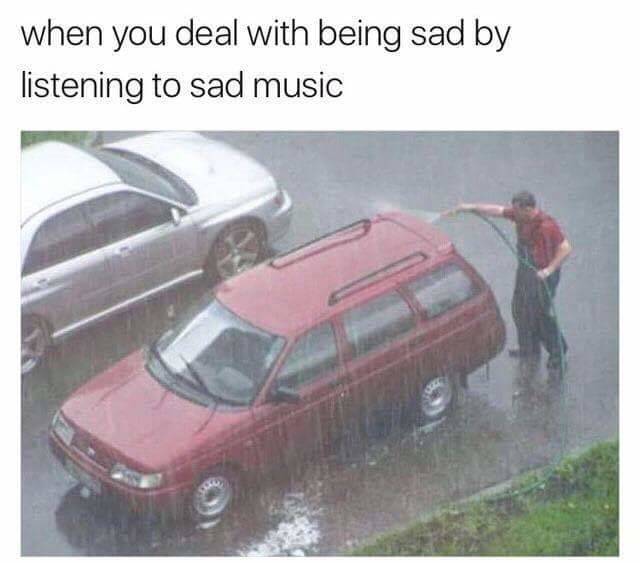 Self-Hate Memes (40 pics)