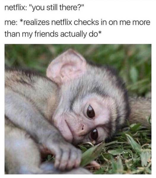 Self-Hate Memes (40 pics)