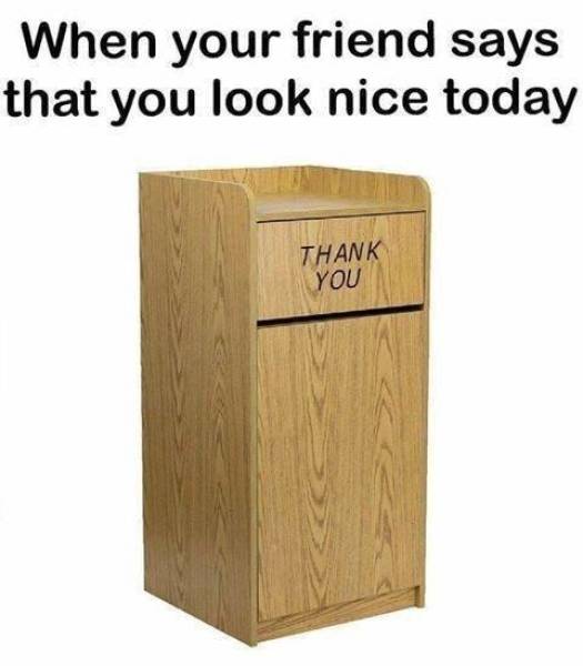 Self-Hate Memes (40 pics)