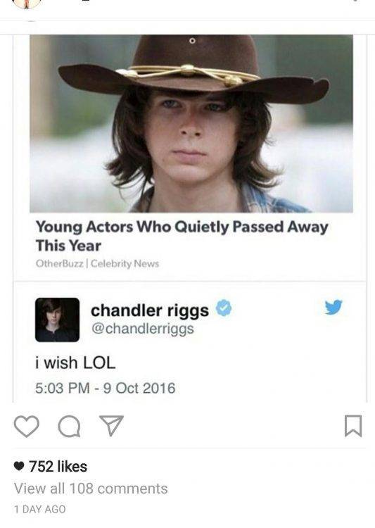 Self-Hate Memes (40 pics)