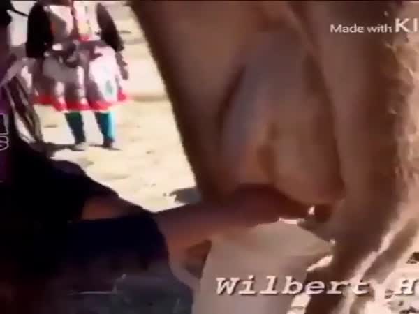 Wait For It...
