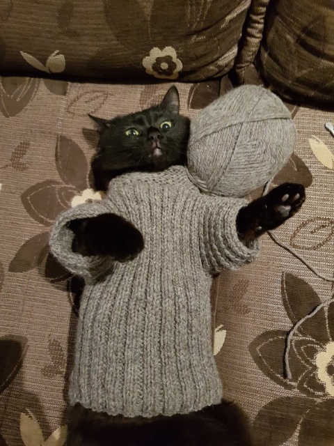 Acid Picdump (104 pics)