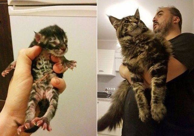 Acid Picdump (104 pics)