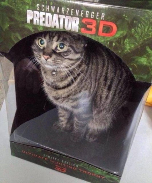 Acid Picdump (104 pics)