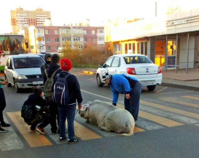 Acid Picdump (104 pics)