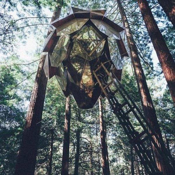 Acid Picdump (104 pics)