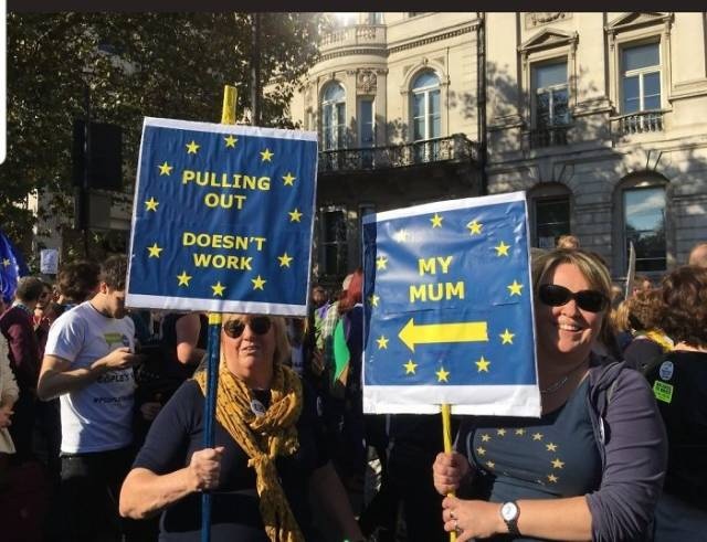 British Humor At An Anti-Brexit Protest (40 pics)