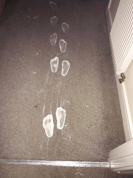 Toddler Ruins Living Room (3 pics)