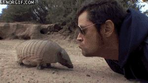 Acid Gifdump, October 24, 2018 (25 gifs)