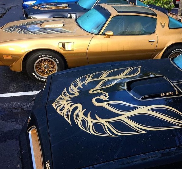Muscle Cars (30 pics)