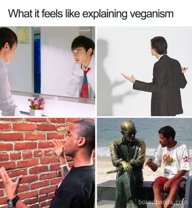 Vegan Memes (49 pics)