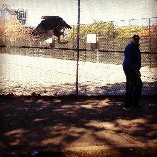 Acid Picdump (96 pics)