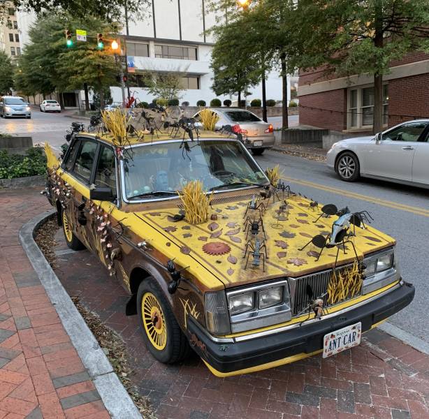 Acid Picdump (96 pics)