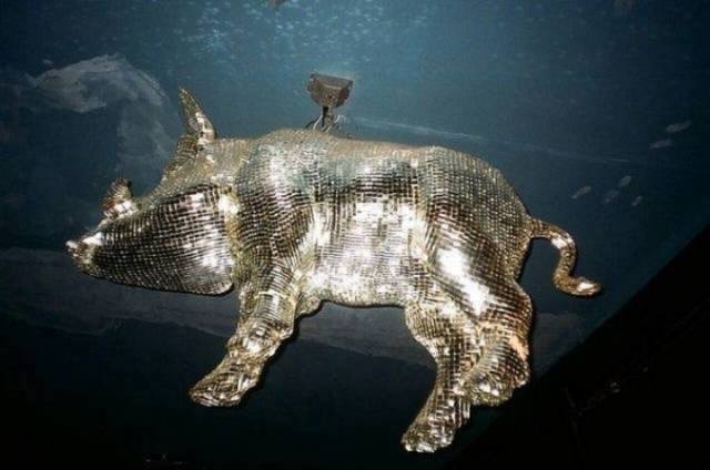 Acid Picdump (96 pics)