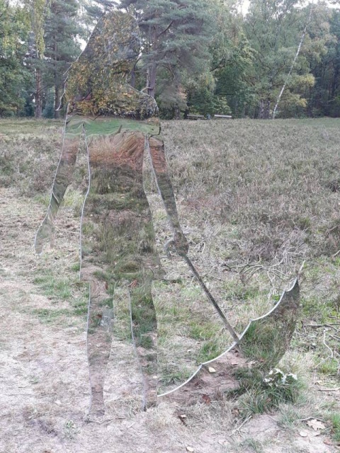 Acid Picdump (96 pics)