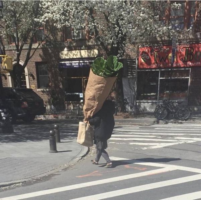 Acid Picdump (96 pics)
