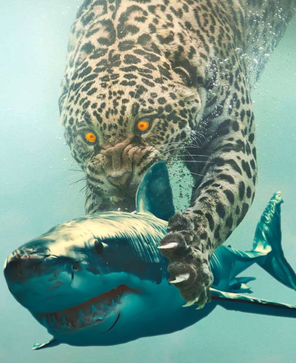 Fishing Leopard Photoshop Battle (14 pics)