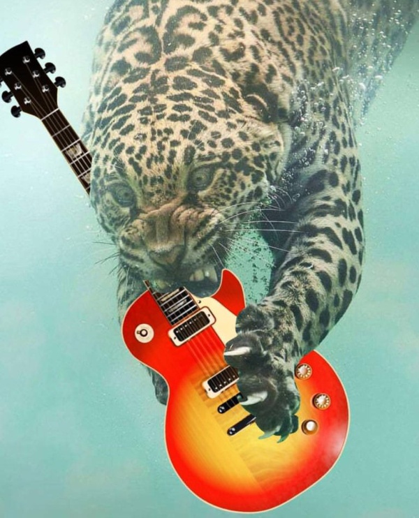 Fishing Leopard Photoshop Battle (14 pics)