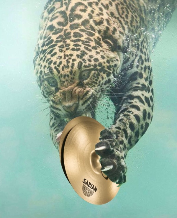 Fishing Leopard Photoshop Battle (14 pics)