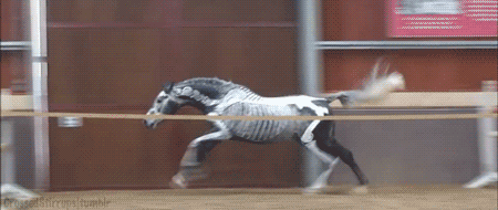 Acid Gifdump, October 25, 2018 (25 gifs)